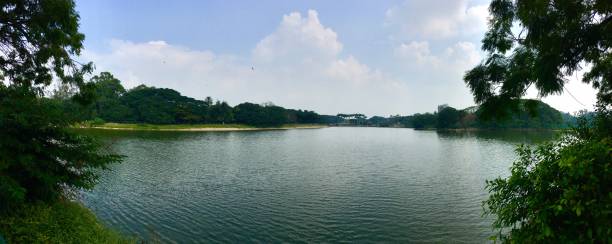 istock Panorama view of lake - sunny day 876014112