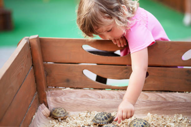 istock Contact zoo, turtles in kids hands. 876014886