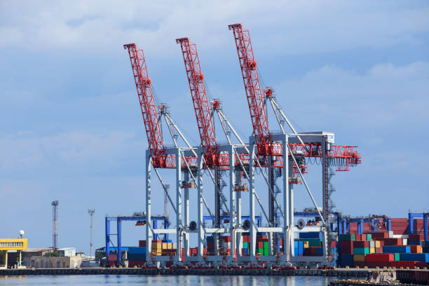 istock Sea port with rows of industrial cranes 876016320