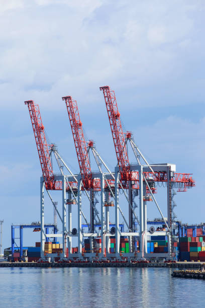 istock Sea port with rows of industrial cranes 876016358