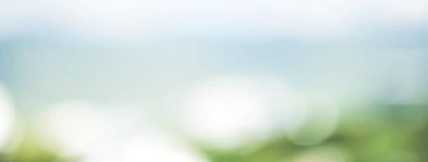 Abstract simple clean natural blur white green bokeh background with light blue shade in the middle