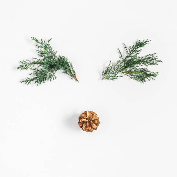 istock Christmas reindeer. Fir branches, pine cone. Flat lay, top view 876025794