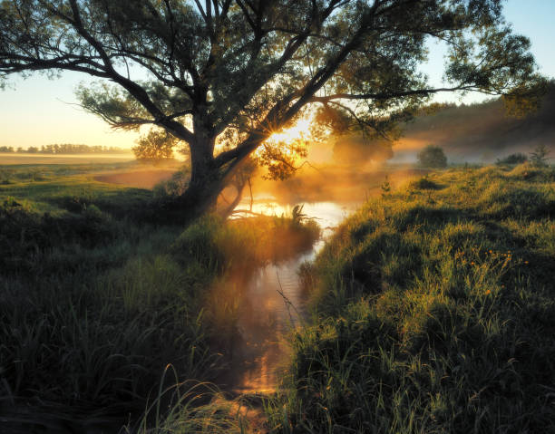 istock spring morning. a picturesque river. foggy dawn 876025902
