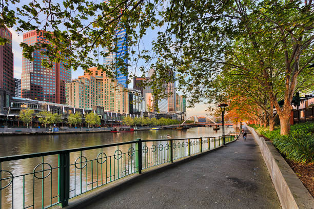 Me North Yarra footpath trees Footpath along Yarra river in Melbourne downtown under leafy trees facing southbank and Walker bridge in early morning. south yarra stock pictures, royalty-free photos & images