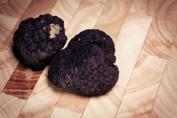 istock A pair of precious black Italian truffles 876035708