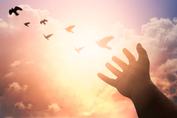 istock Human hands open palm up worship. Eucharist Therapy Bless God Helping Repent Catholic Easter Lent Mind Pray. Christian concept background. 876040874