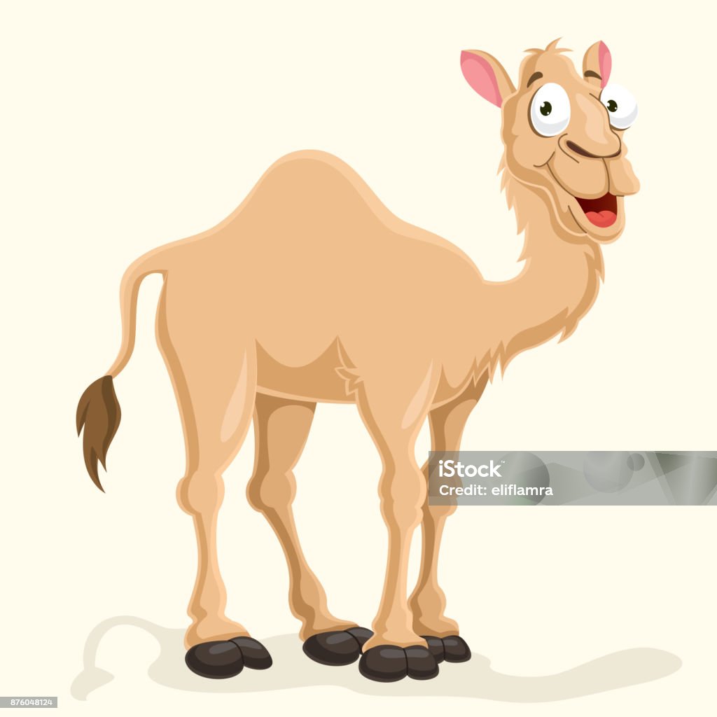 Camel Vector Illustration Camel Colored stock vector