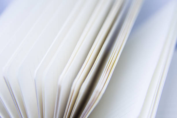 istock A beautiful closeup of a blank notebook in green covers. 876048904