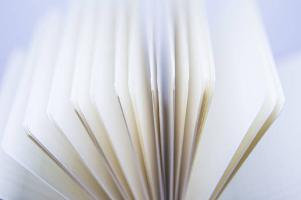 istock A beautiful closeup of a blank notebook in green covers. 876048906