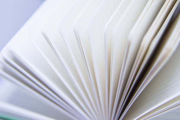 istock A beautiful closeup of a blank notebook in green covers. 876048952