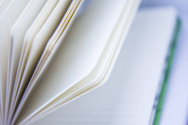 istock A beautiful closeup of a blank notebook in green covers. 876048964