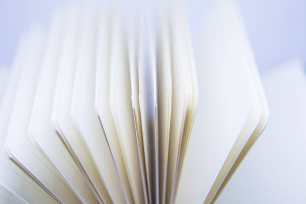 istock A beautiful closeup of a blank notebook in green covers. 876048990