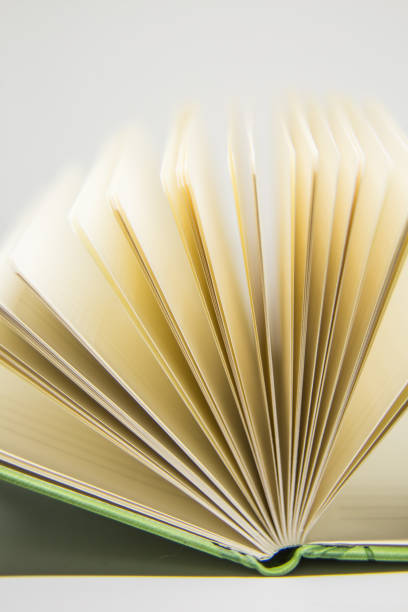 istock A beautiful closeup of a blank notebook in green covers. 876048998