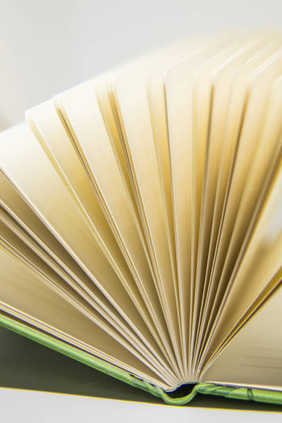 istock A beautiful closeup of a blank notebook in green covers. 876049066
