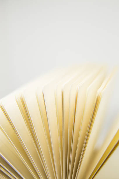 istock A beautiful closeup of a blank notebook in green covers. 876049078