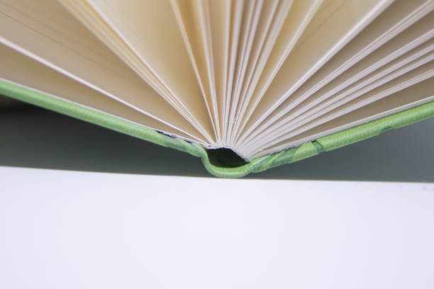 istock A beautiful closeup of a blank notebook in green covers. 876049262