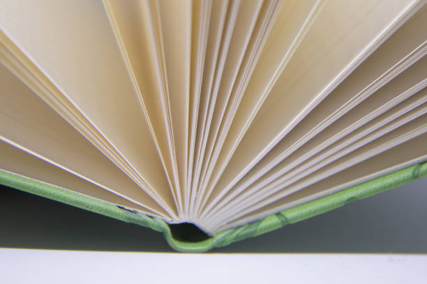 istock A beautiful closeup of a blank notebook in green covers. 876049264