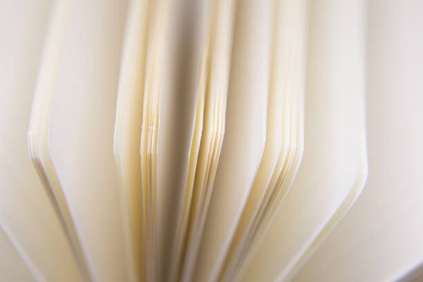 istock A beautiful closeup of a blank notebook in green covers. 876049354