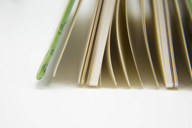 istock A beautiful closeup of a blank notebook in green covers. 876049442