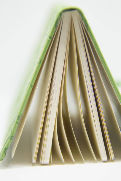 istock A beautiful closeup of a blank notebook in green covers. 876049464
