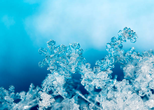 istock natural snowflakes on snow 876056184