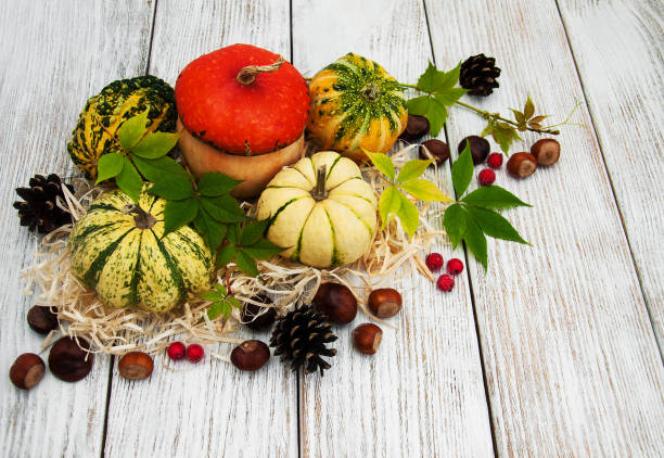istock Pumpkins with autumn leaves 876056366