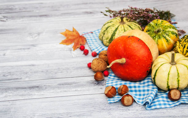 istock Pumpkins with autumn leaves 876056372