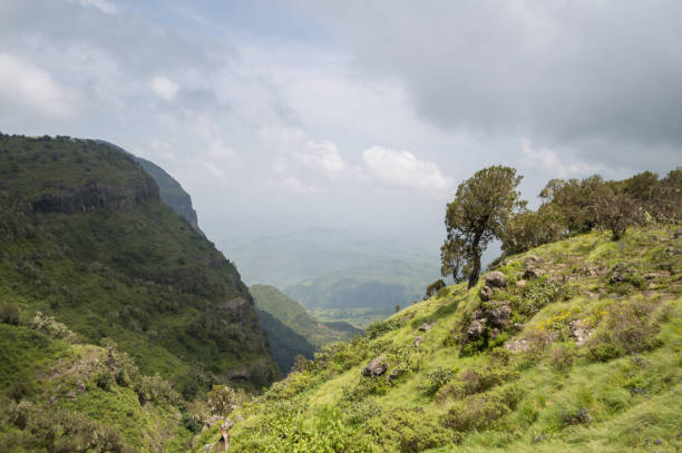 istock Hiking in the Simien Mountains, Ethiopia 876057140