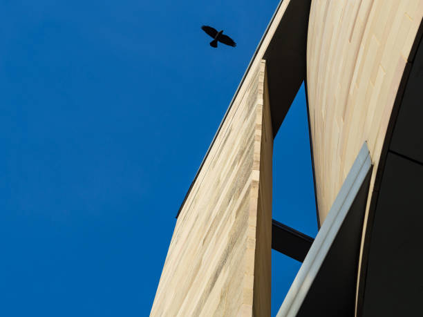 istock Modern architecture with silhouette of bird against blue sky 876064002