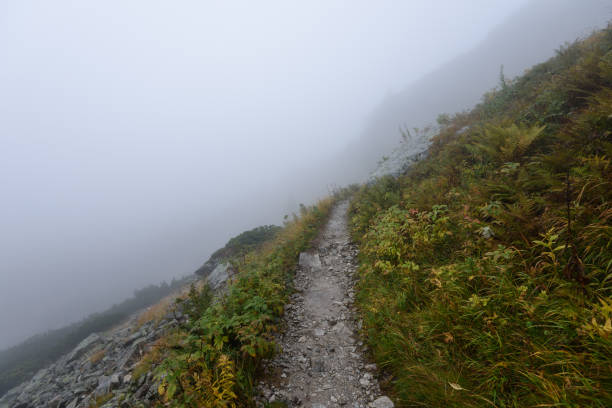 istock mountain tourist trail in  autumn covered in mist 876066588