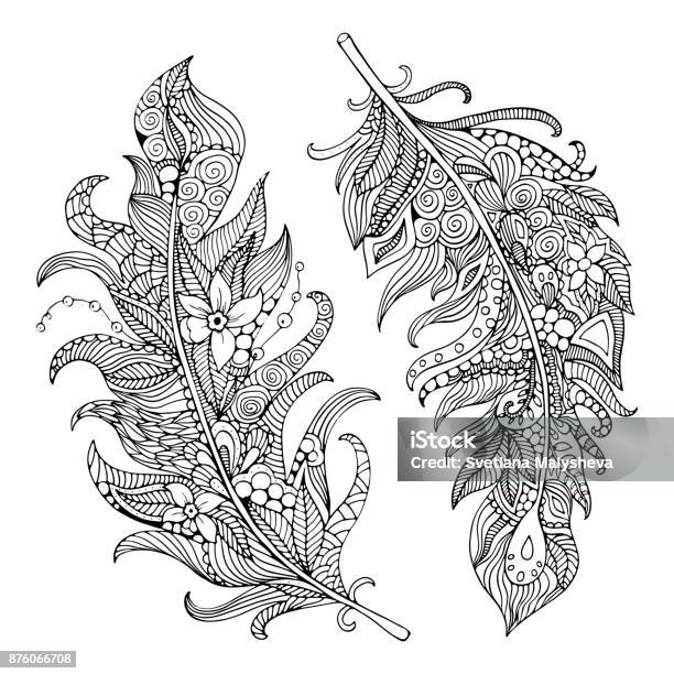 Feather Coloring Page Stock Illustration - Download Image Now - Adult, Coloring Book Page - Illlustration Technique, Coloring