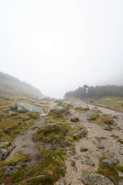 istock mountain tourist trail in  autumn covered in mist 876066746