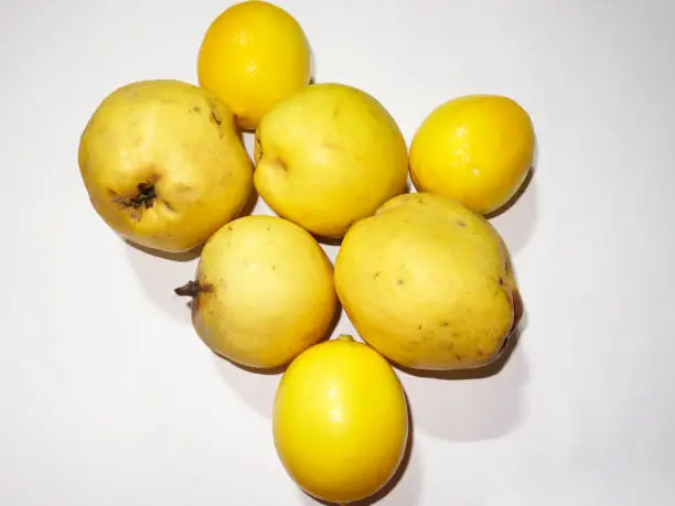 White background,lemon,quince,and lemon