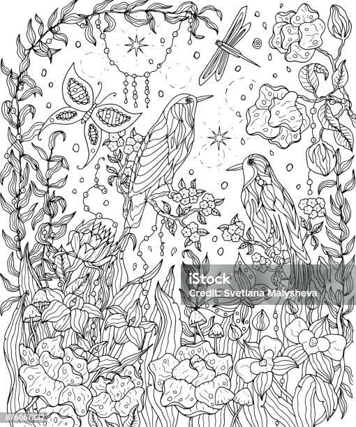 Birds Of Paradise And Flowers Coloring Page Stock Illustration - Download Image Now - Adult, Coloring Book Page - Illlustration Technique, Coloring