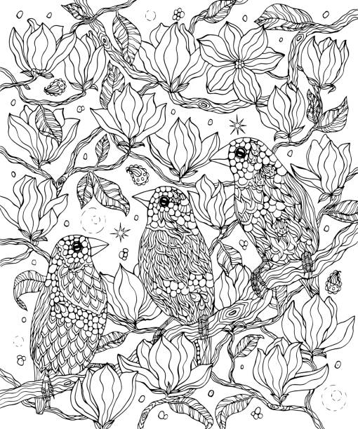 Birds and flowers coloring page. Gouldian finches Hand-drawn vector illustration gouldian finch stock illustrations