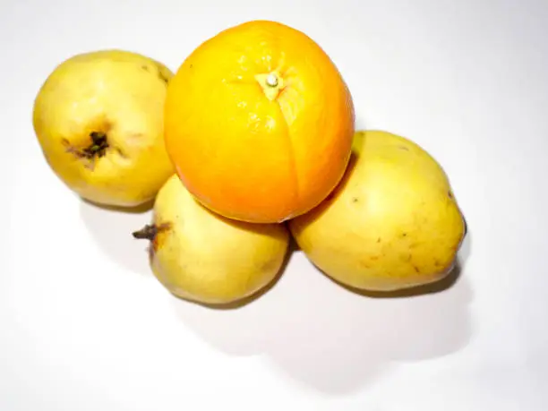 White background,quince and orange