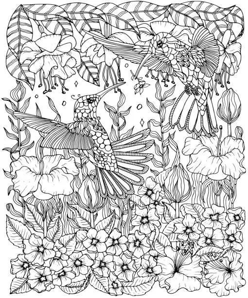 Vector illustration of Hummingbirds and flowers coloring page