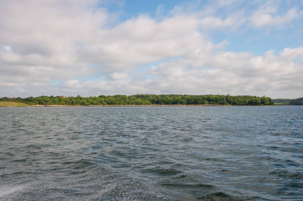 istock Forest near the Danish coast 876074296