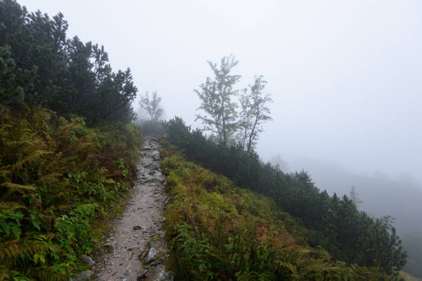 istock mountain tourist trail in  autumn covered in mist 876077756