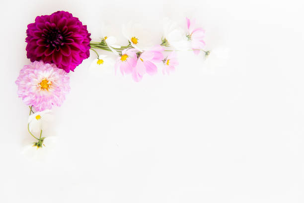 istock Bunch of flowers 876078560