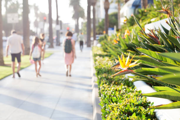 istock Promenade in santa monica, california 876096796