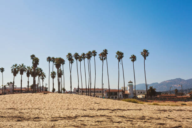 istock Santa Barbara sand beach with tall palms 876097998
