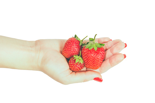 Woman manicured hand whith red nails polish holding fresh strawberries on white background.