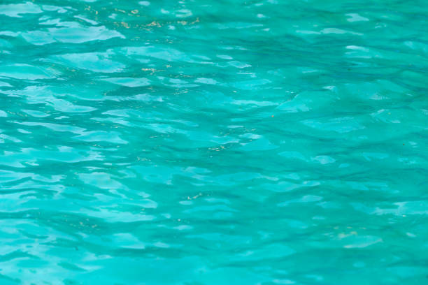 istock Abstract background of water in the pool 876110010