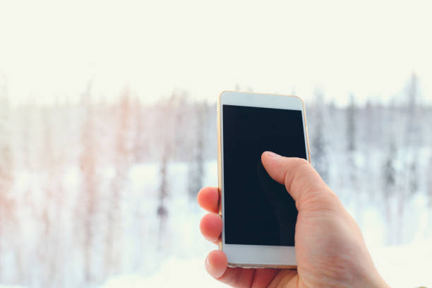 istock Smartphone in hand on the winter forest background 876113678