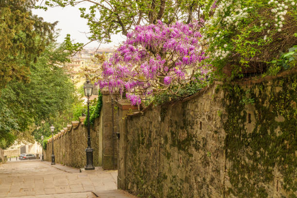 istock Street with stairs in Florence 876116850
