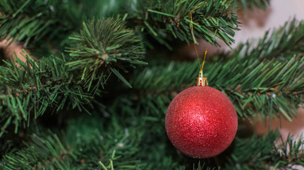 istock Christmas Tree Ball Decoration on the green branches 876136246