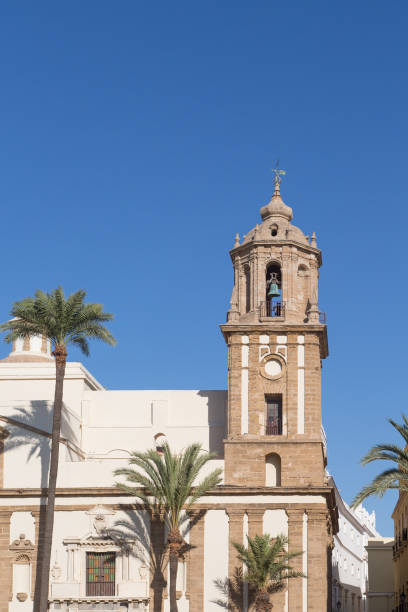istock Palm Trees by Old Cadiz Church 876139626