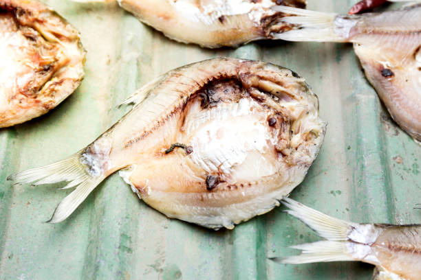 istock Salted fish (dried fish) is a dry food 876140456