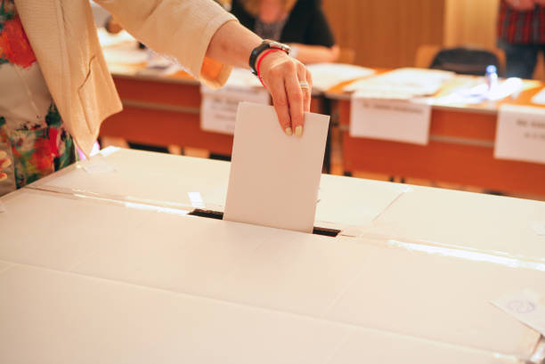 голосование - elect стоковые фото и изображения